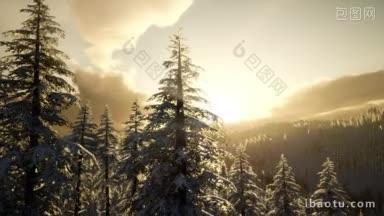 阳光灿烂的壮丽的冬季景观